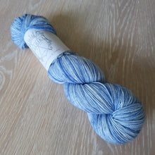 Lataa kuva Galleria-katseluohjelmaan, Glitter Sock