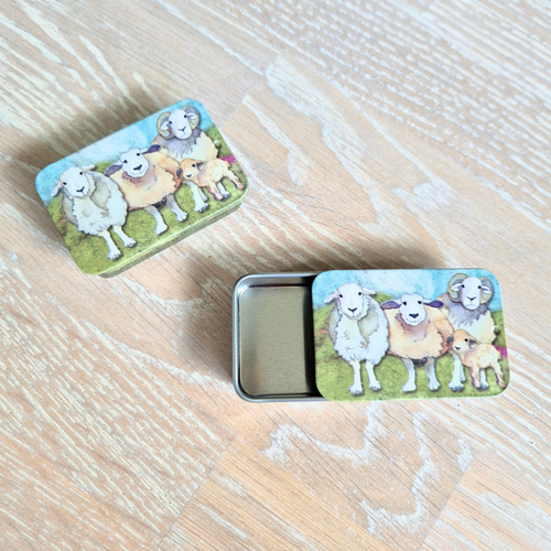 Picture of little storage tin wirh three large and one little sheep on a grazing field