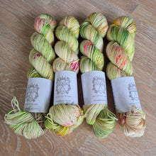 Lataa kuva Galleria-katseluun, Dreamer