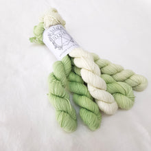 Load image into Gallery viewer, Merino Sock Mini Fade Set